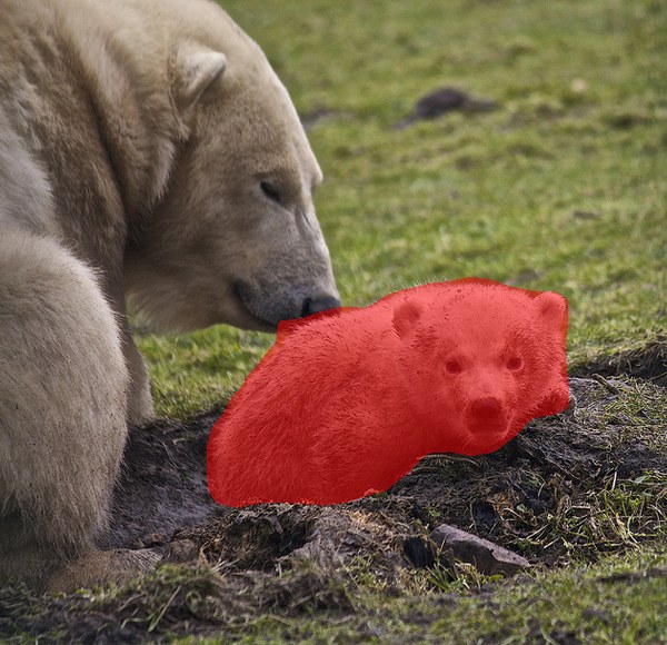 The cub segmented with a red mask